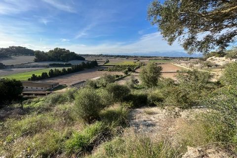 Landejendom i Sineu, Mallorca, Sineu - € 1.100.000 | Ref: 4522 - foto 3