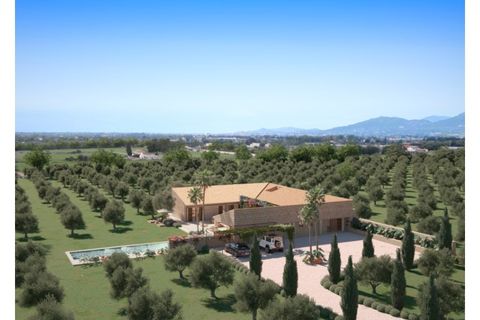 Landejendom i Binissalem, Mallorca, Binissalem - € 3.500.000 | Ref: 5951 - foto 1