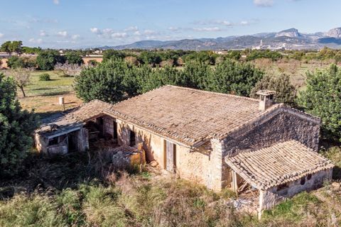 Landejendom i Binissalem, Mallorca, Binissalem - € 3.500.000 | Ref: 5951 - foto 7