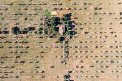 Landejendom i Binissalem, Mallorca, Binissalem - € 3.500.000 | Ref: 5951 - foto 8