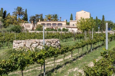 Landejendom i Manacor, Mallorca, Manacor - € 9.500.000 | Ref: 5987 - foto 22