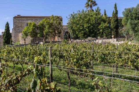 Landejendom i Manacor, Mallorca, Manacor - € 9.500.000 | Ref: 5987 - foto 24
