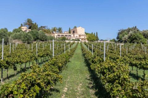 Landejendom i Manacor, Mallorca, Manacor - € 9.500.000 | Ref: 5987 - foto 26