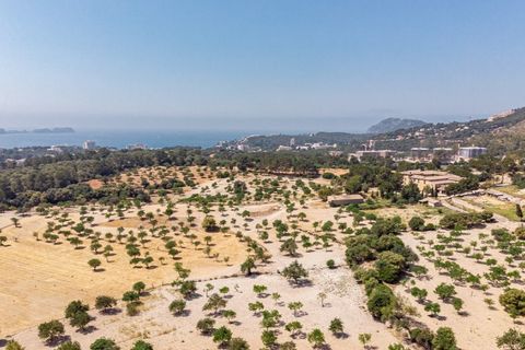Landejendom i Calvia, Mallorca, Calvia - € 15.000.000 | Ref: 4157 - foto 3