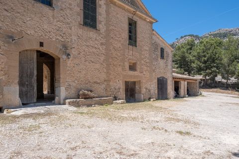 Landejendom i Calvia, Mallorca, Calvia - € 15.000.000 | Ref: 4157 - foto 5