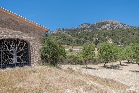 Landejendom i Calvia, Mallorca, Calvia - € 15.000.000 | Ref: 4157 - foto 8