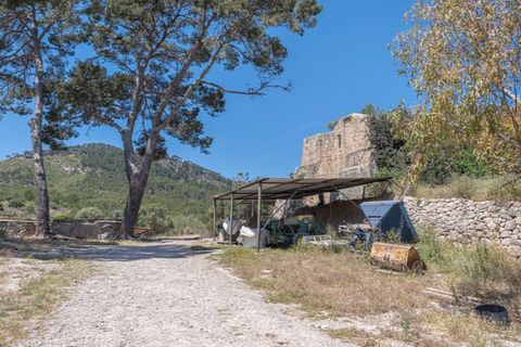 Landejendom i Calvia, Mallorca, Calvia - € 15.000.000 | Ref: 4157 - foto 11