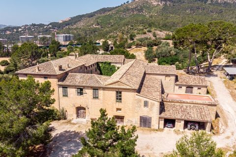 Landejendom i Calvia, Mallorca, Calvia - € 15.000.000 | Ref: 4157 - foto 14