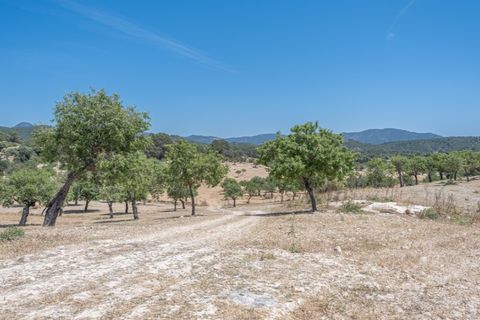 Landejendom i Calvia, Mallorca, Calvia - € 15.000.000 | Ref: 4157 - foto 15