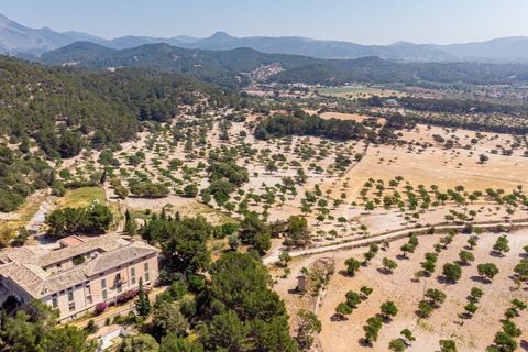 Landejendom i Calvia, Mallorca, Calvia - € 15.000.000 | Ref: 4157 - foto 17
