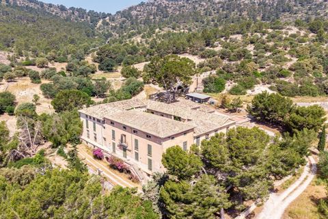 Landejendom i Calvia, Mallorca, Calvia - € 15.000.000 | Ref: 4157 - foto 18