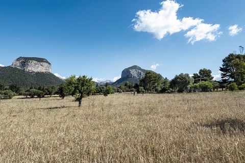 Landejendom i Alaro, Mallorca, Alaro - € 2.800.000 | Ref: 4028 - foto 2