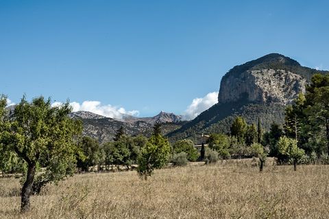 Landejendom i Alaro, Mallorca, Alaro - € 2.800.000 | Ref: 4028 - foto 10
