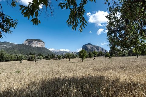 Landejendom i Alaro, Mallorca, Alaro - € 2.800.000 | Ref: 4028 - foto 11