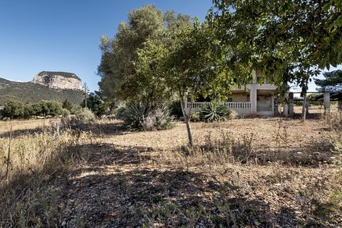 Landejendom i Alaro, Mallorca, Alaro - € 2.800.000 | Ref: 4028 - foto 12