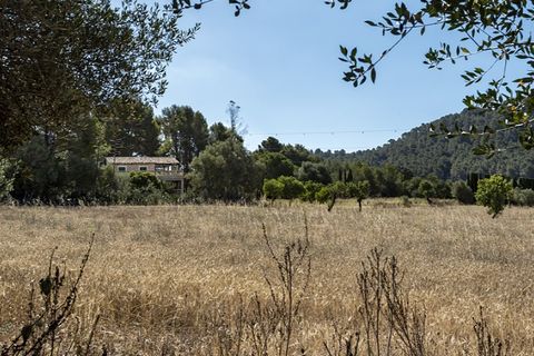 Landejendom i Alaro, Mallorca, Alaro - € 2.800.000 | Ref: 4028 - foto 13