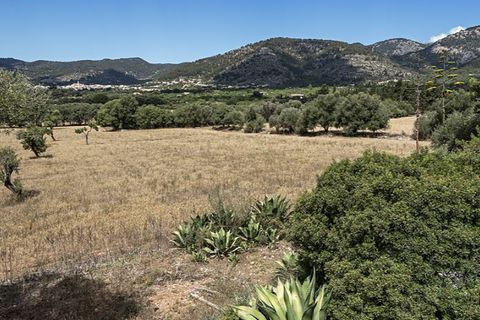 Landejendom i Alaro, Mallorca, Alaro - € 2.800.000 | Ref: 4028 - foto 14