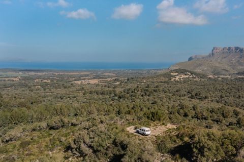 Landejendom i Arta, Mallorca, Arta - € 7.800.000 | Ref: 4021 - foto 2