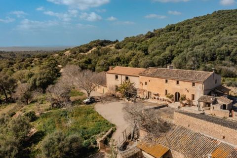 Landejendom i Arta, Mallorca, Arta - € 7.800.000 | Ref: 4021 - foto 8
