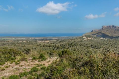 Landejendom i Arta, Mallorca, Arta - € 7.800.000 | Ref: 4021 - foto 9