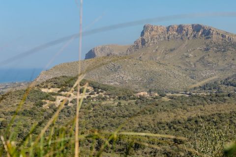 Landejendom i Arta, Mallorca, Arta - € 7.800.000 | Ref: 4021 - foto 12
