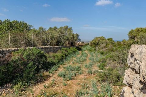 Landejendom i Arta, Mallorca, Arta - € 7.800.000 | Ref: 4021 - foto 13