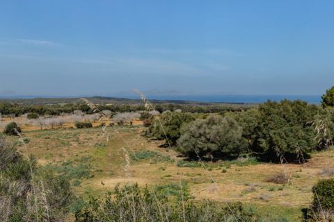 Landejendom i Arta, Mallorca, Arta - € 7.800.000 | Ref: 4021 - foto 17