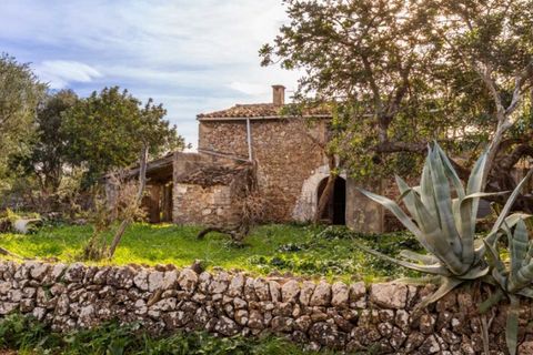 Herregård i Pollenca, Mallorca, Pollenca - € 890 000 | Ref: 3908 - foto 3