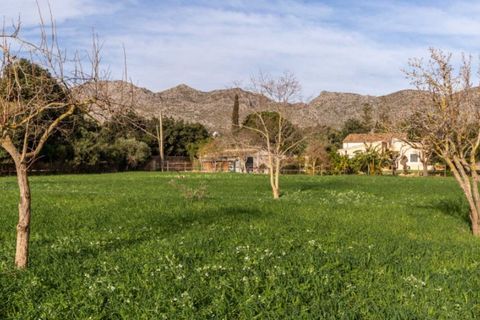 Herregård i Pollenca, Mallorca, Pollenca - € 890 000 | Ref: 3908 - foto 4