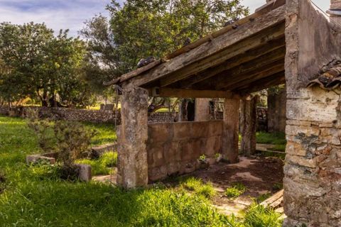 Herregård i Pollenca, Mallorca, Pollenca - € 890 000 | Ref: 3908 - foto 14