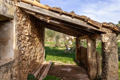 Herregård i Pollenca, Mallorca, Pollenca - € 890 000 | Ref: 3908 - foto 15