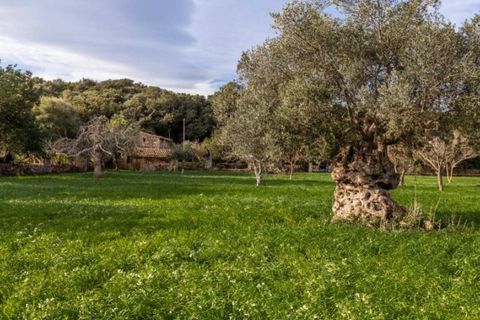 Herregård i Pollenca, Mallorca, Pollenca - € 890 000 | Ref: 3908 - foto 16