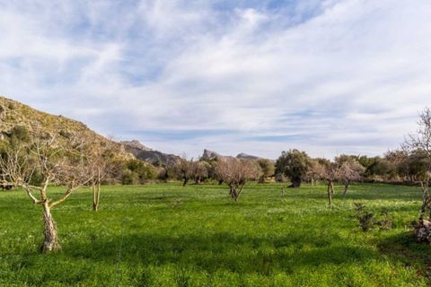 Herregård i Pollenca, Mallorca, Pollenca - € 890 000 | Ref: 3908 - foto 18