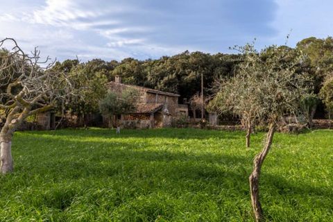 Herregård i Pollenca, Mallorca, Pollenca - € 890 000 | Ref: 3908 - foto 19