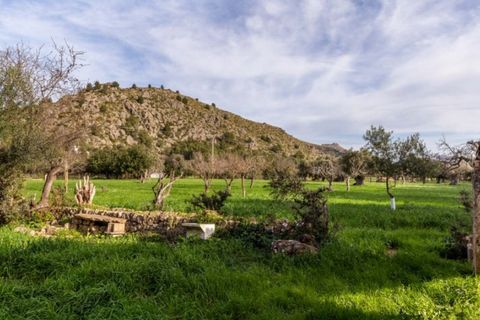 Herregård i Pollenca, Mallorca, Pollenca - € 890 000 | Ref: 3908 - foto 20