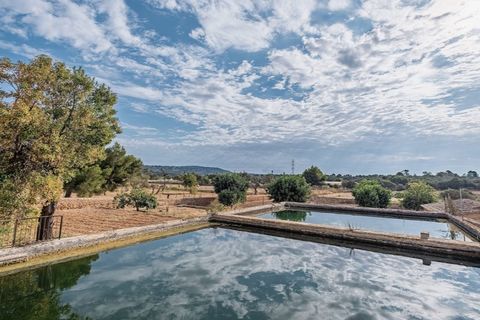 Landejendom i Puntiro, Mallorca, Puntiro - € 2.700.000 | Ref: 3900 - foto 2