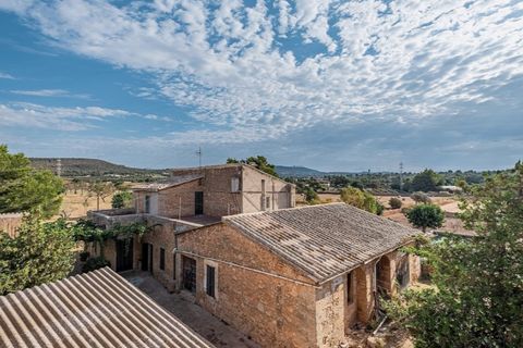 Landejendom i Puntiro, Mallorca, Puntiro - € 2.700.000 | Ref: 3900 - foto 3