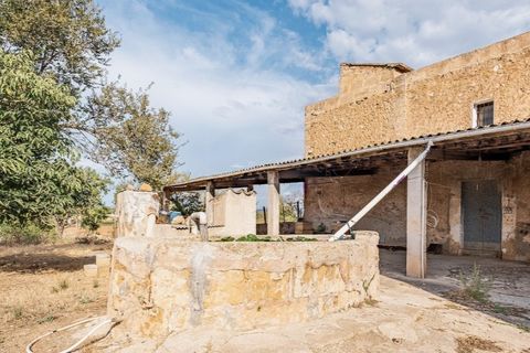 Landejendom i Puntiro, Mallorca, Puntiro - € 2.700.000 | Ref: 3900 - foto 5
