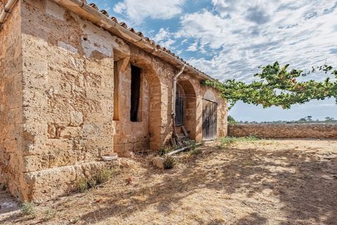 Landejendom i Puntiro, Mallorca, Puntiro - € 2.700.000 | Ref: 3900 - foto 6