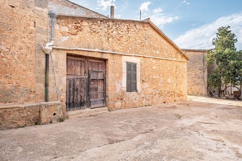 Landejendom i Puntiro, Mallorca, Puntiro - € 2.700.000 | Ref: 3900 - foto 19