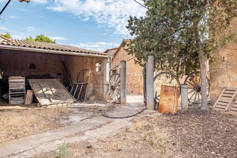 Landejendom i Puntiro, Mallorca, Puntiro - € 2.700.000 | Ref: 3900 - foto 20