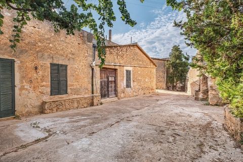 Landejendom i Puntiro, Mallorca, Puntiro - € 2.700.000 | Ref: 3900 - foto 21