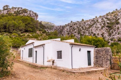 Landejendom i Selva, Mallorca, Selva - € 6.900.000 | Ref: 3807 - foto 15