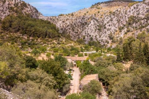 Landejendom i Selva, Mallorca, Selva - € 6.900.000 | Ref: 3807 - foto 18