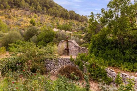 Landejendom i Selva, Mallorca, Selva - € 6.900.000 | Ref: 3807 - foto 19