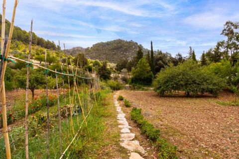 Landejendom i Selva, Mallorca, Selva - € 6.900.000 | Ref: 3807 - foto 20