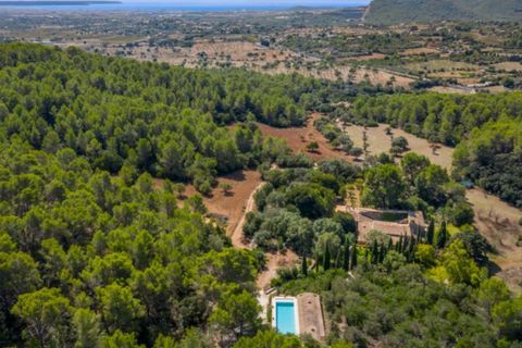 Landejendom i Establiments, Mallorca, Establiments - € 7.900.000 | Ref: 2214 - foto 3