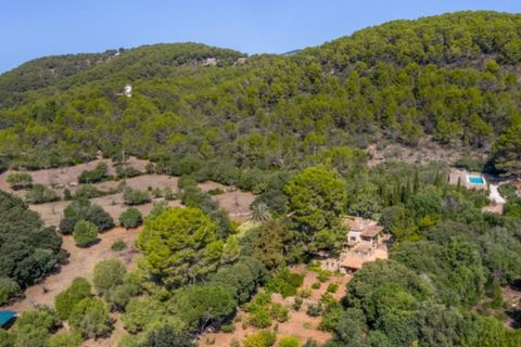 Landejendom i Establiments, Mallorca, Establiments - € 7.900.000 | Ref: 2214 - foto 21