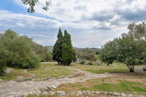 Herregård i Pollenca, Mallorca, Pollenca - € 3 500 000 | Ref: 1130 - foto 21