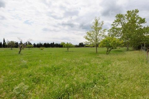 Herregård i Pollenca, Mallorca, Pollenca - € 3 500 000 | Ref: 1130 - foto 26